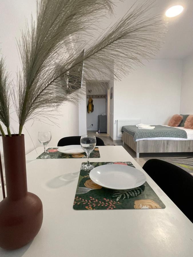 Studio Apartment Palas Mall Iasi Ngoại thất bức ảnh