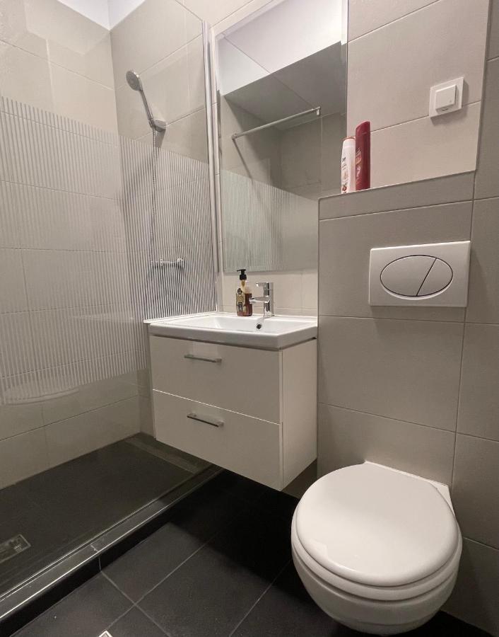 Studio Apartment Palas Mall Iasi Ngoại thất bức ảnh